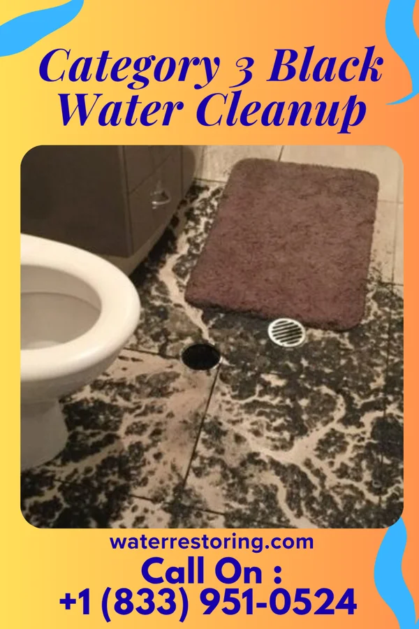 Category 3 Black Water Cleanup in Union City, GA