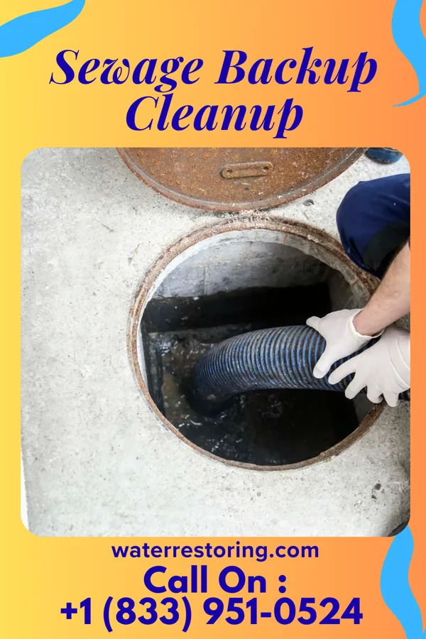 Sewage Backup Cleanup in Union City, GA